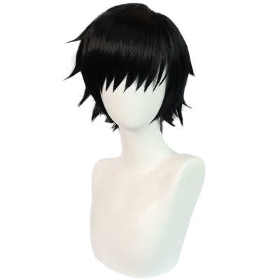 Jujutsu Kaisen Toji Fushiguro Black Cosplay Wigs