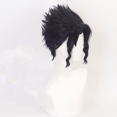 JoJo's Bizarre Adventure Kujo Jotaro Cosplay Wigs