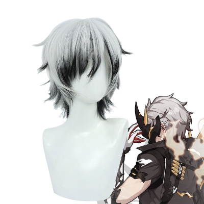 Honkai Impact 3rd Kalpas Cosplay Wigs
