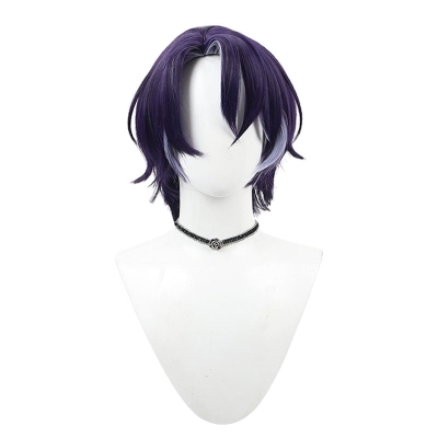 Honkai: Star Rail Dr. Ratio Cosplay Wigs