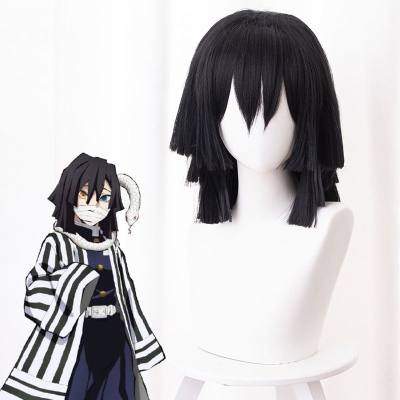 Demon Slayer: Kimetsu no Yaiba Obanai Iguro Black Cosplay Wig