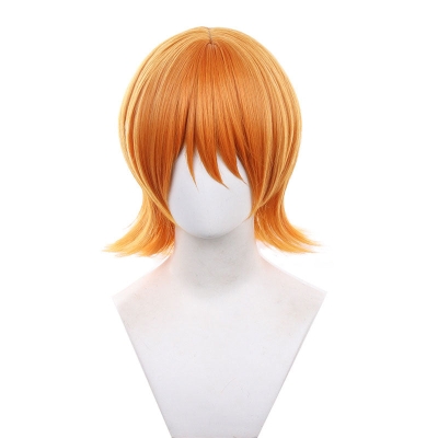 Anime One Piece Nami Short Cosplay Wigs