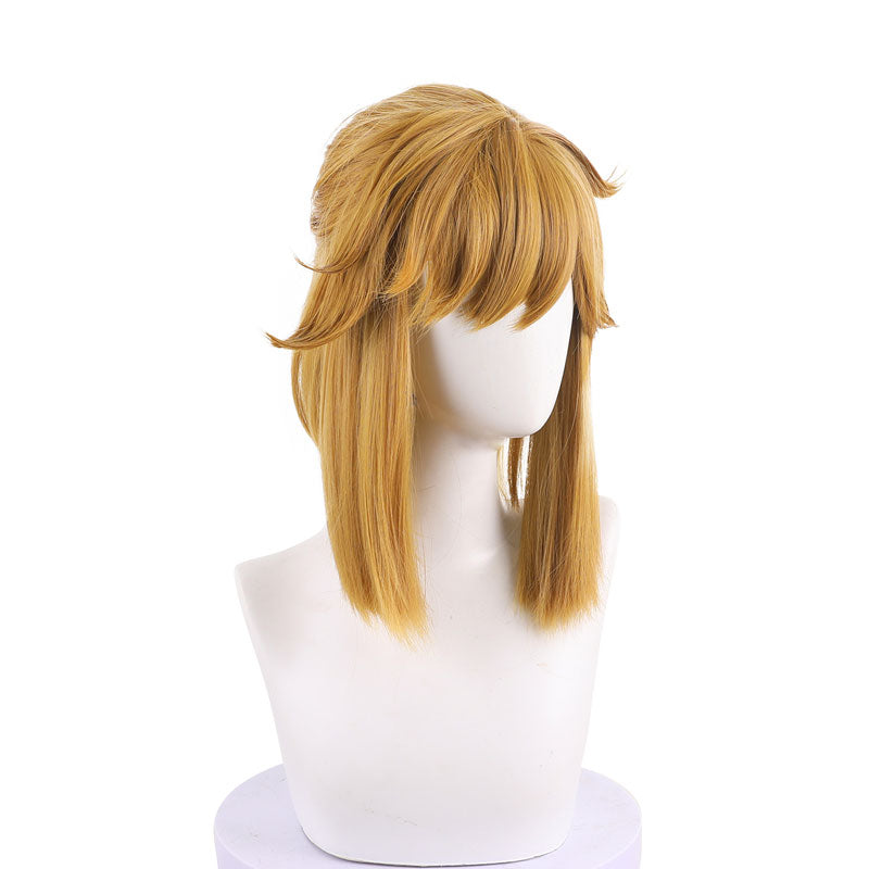 The Legend of Zelda: Breath of the Wild Link Cosplay Wig