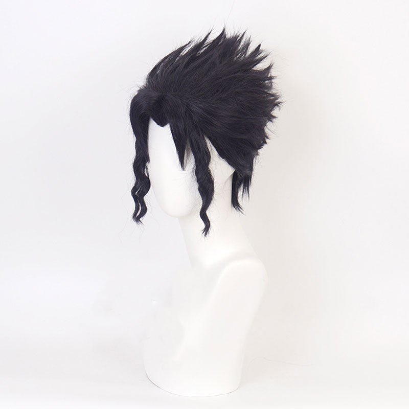 JoJo's Bizarre Adventure Kujo Jotaro Cosplay Wigs