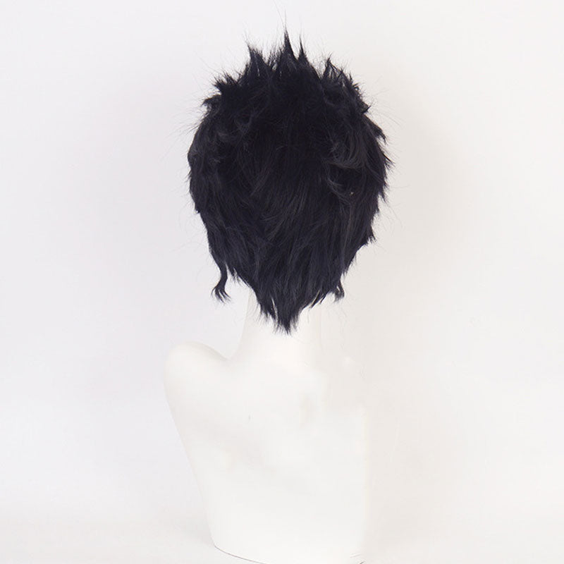 JoJo's Bizarre Adventure Kujo Jotaro Cosplay Wigs