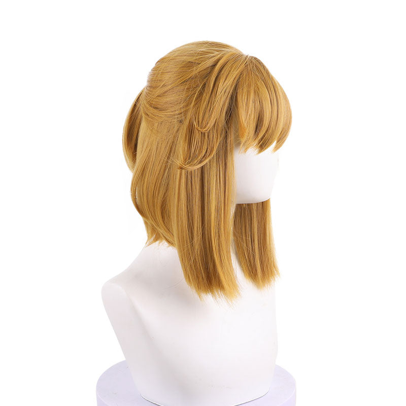 The Legend of Zelda: Breath of the Wild Link Cosplay Wig