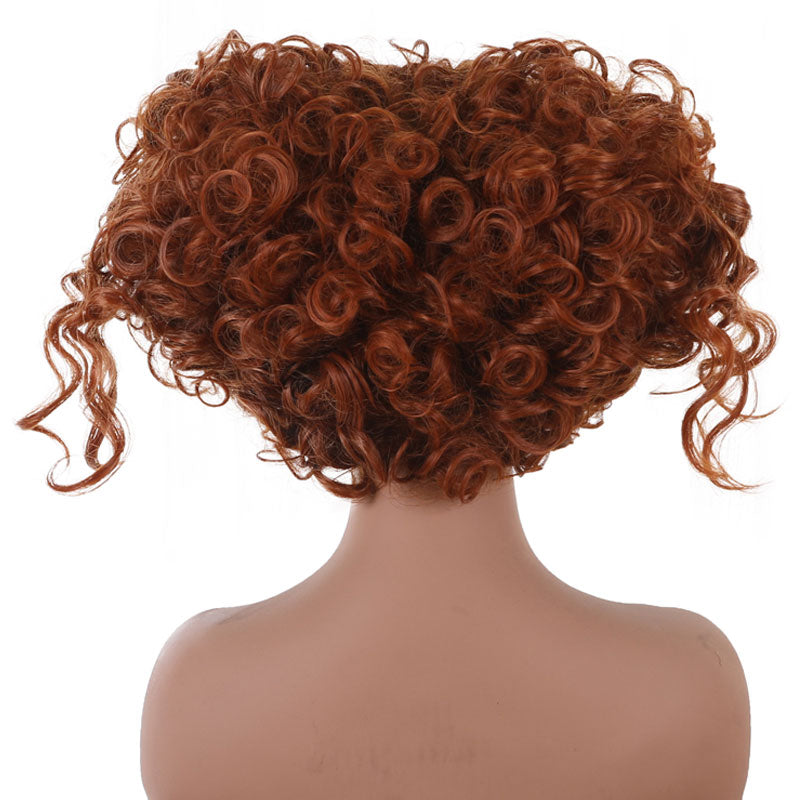 Hocus Pocus 2 Winifred Sanderson Cosplay Wigs